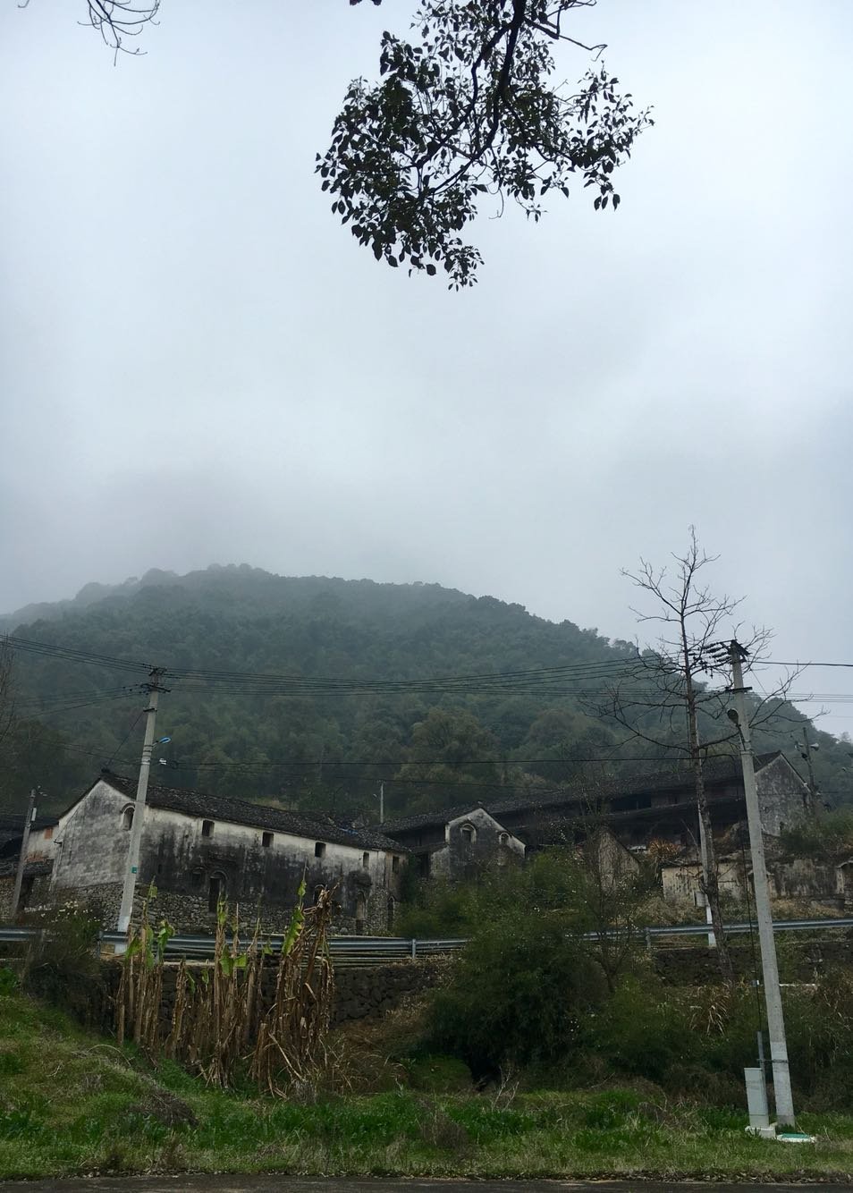 建峰村天气预报更新通知