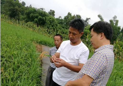 沿沱村最新新闻动态报道