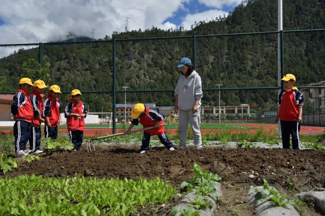 章巴民族乡新领导引领开启发展新篇章