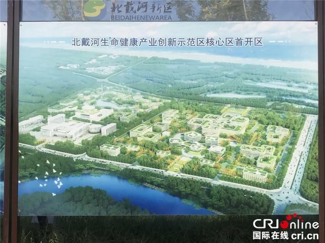 河北区卫生健康局最新发展规划概览