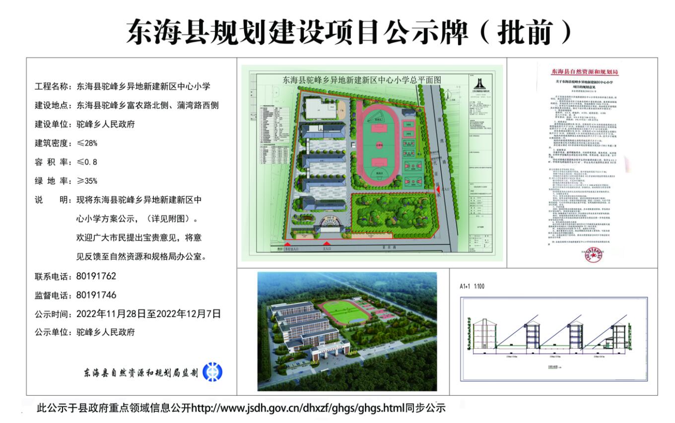 东海县人民政府办公室最新项目，地方发展的强大驱动力