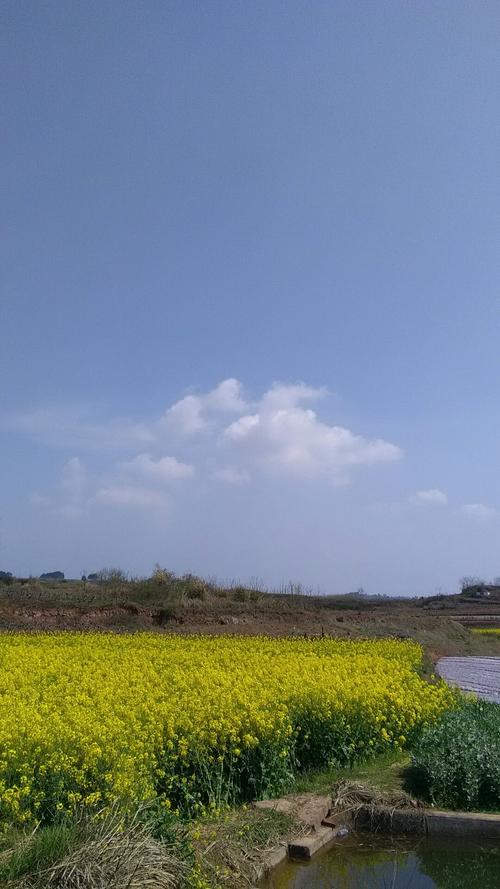 溧河乡天气预报更新通知