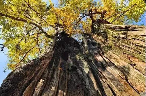 海洋乡交通升级助力地方繁荣发展最新资讯