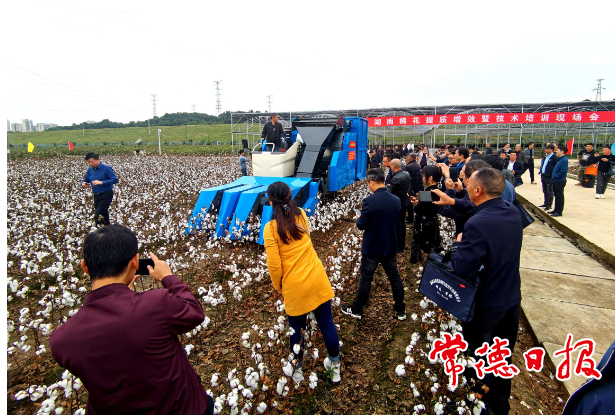 句容市棉花原种场最新动态报道