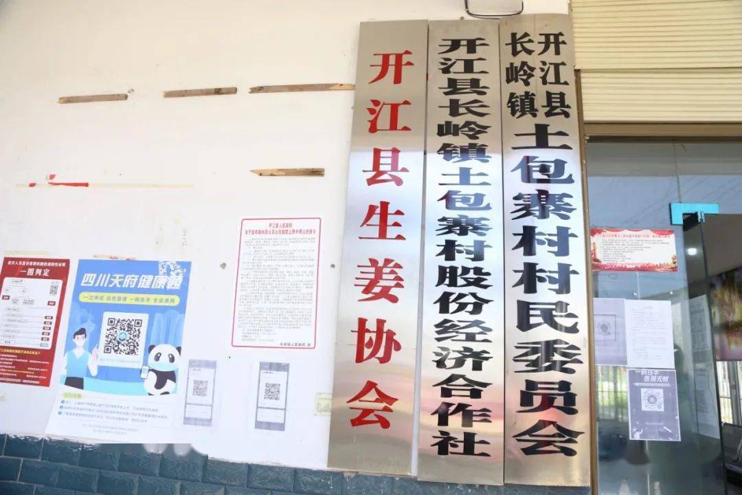 蓬安县卫生健康局最新发展规划概览