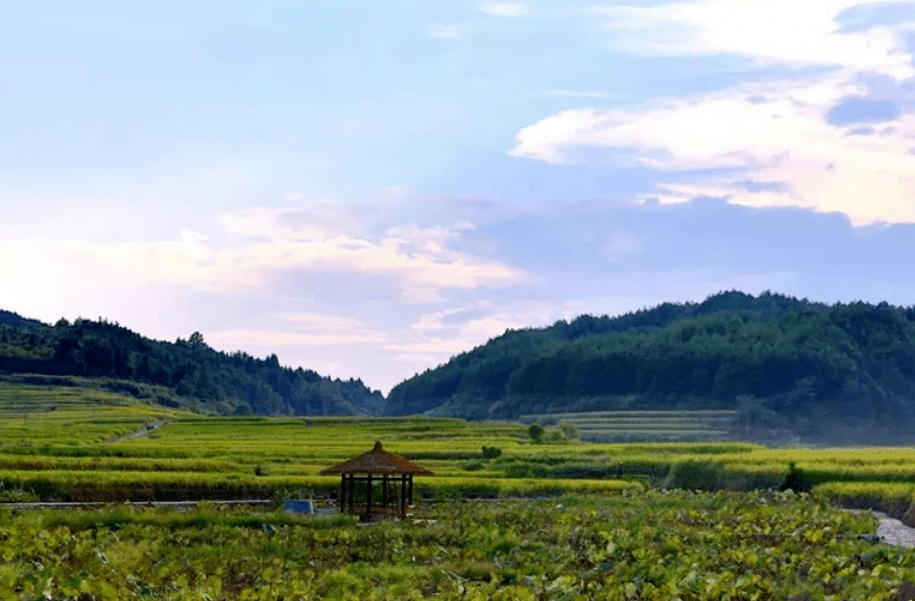 兰巨乡全新发展规划揭晓