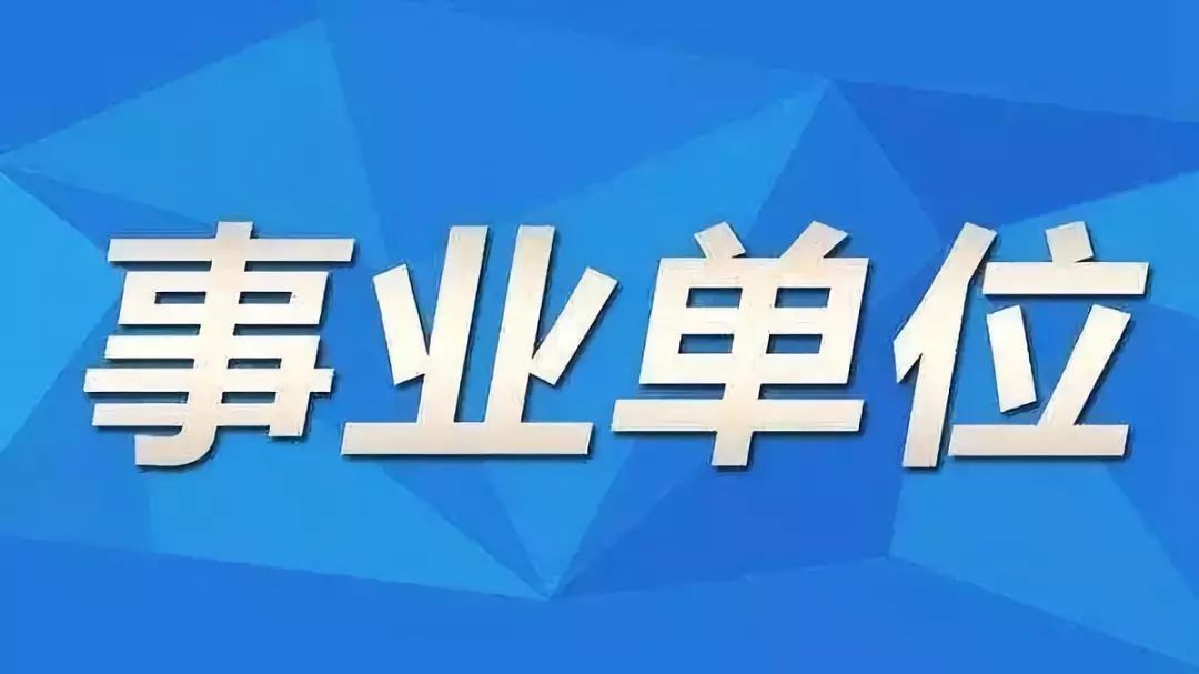 叠彩区级托养福利事业单位招聘信息与内容解析概览