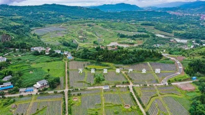 卢家屯乡天气预报更新通知