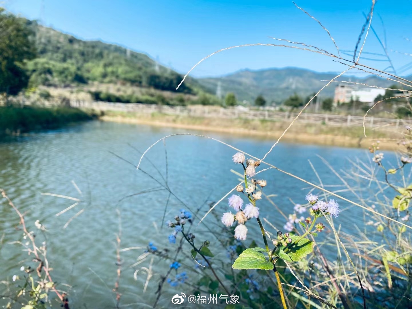 竹岐乡天气预报更新通知