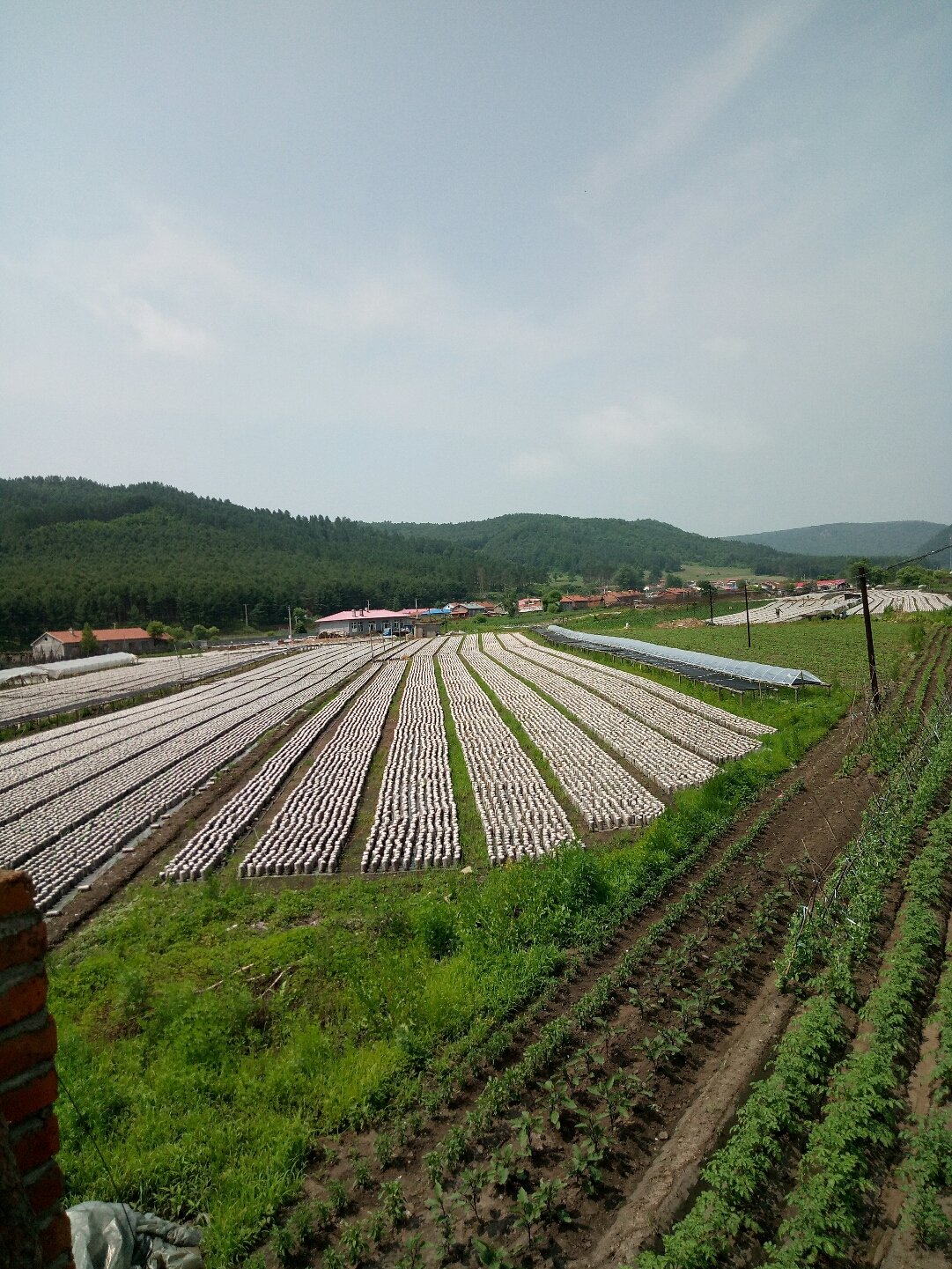 黑羊山乡天气预报更新通知