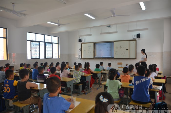 宜州市小学最新新闻综述概览